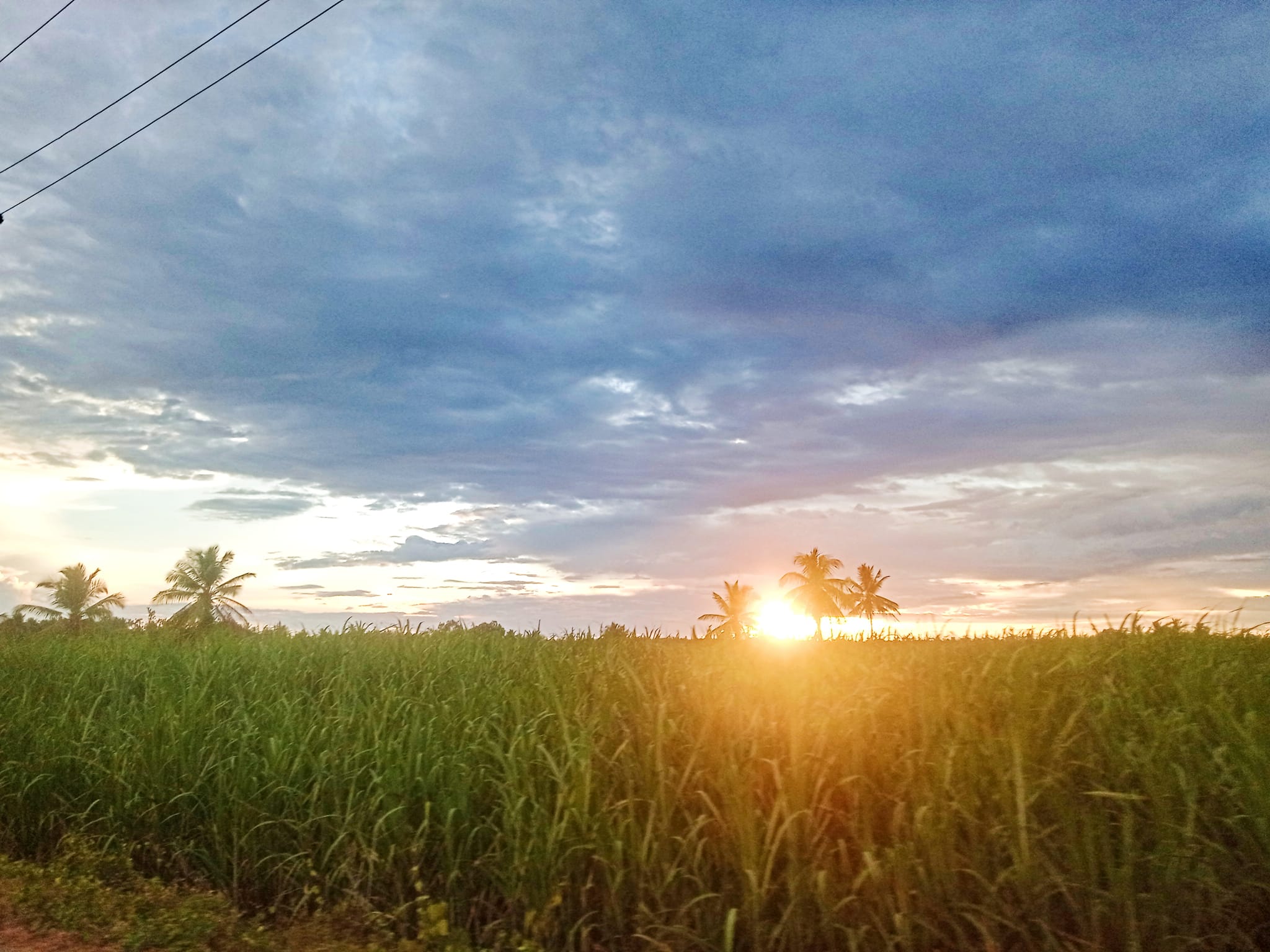 Beautiful sunrise in a field